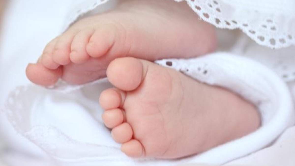 В космосе попытаются зачать и родить ребенка В космосе попытаются зачать и родить ребенка