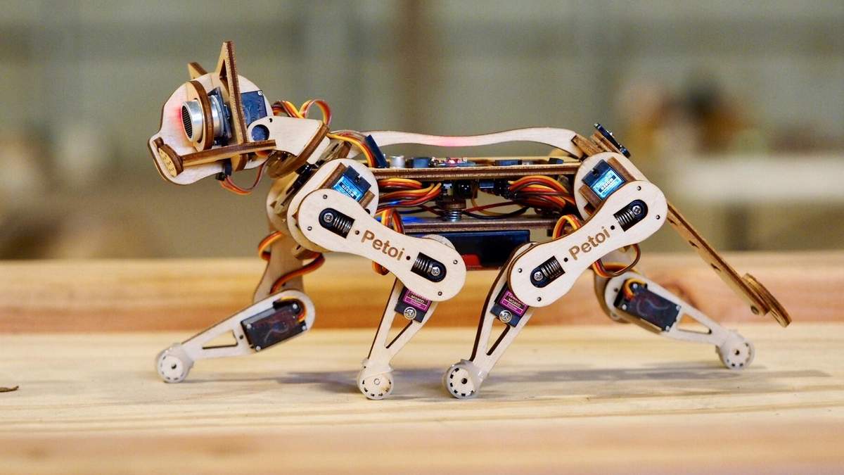Умная кошка Nybble Умная кошка Nybble