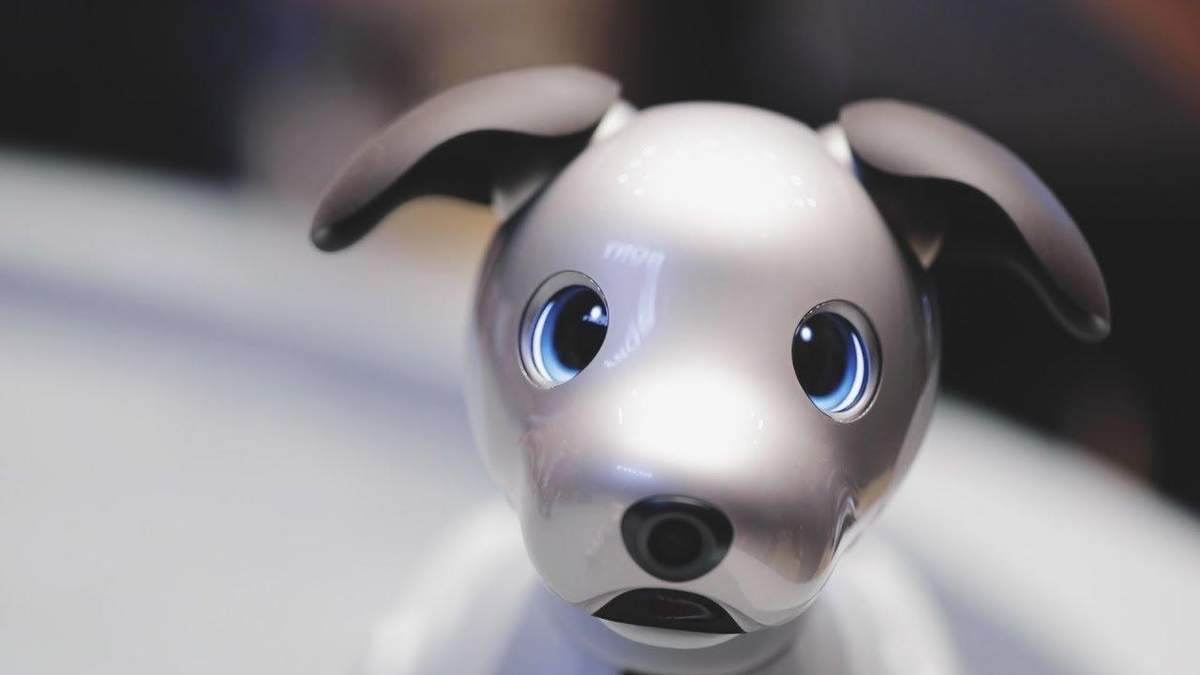 Роботизований пес компанії Sony Роботизований пес компанії Sony