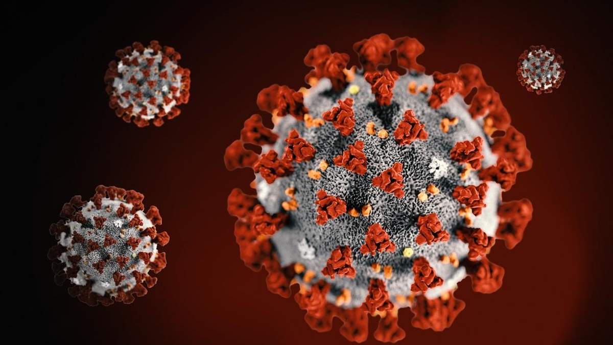 Украинцы создали приложение для борьбы с COVID-19 Украинцы создали приложение для борьбы с COVID-19
