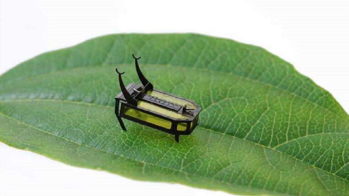 The RoBeetle The RoBeetle