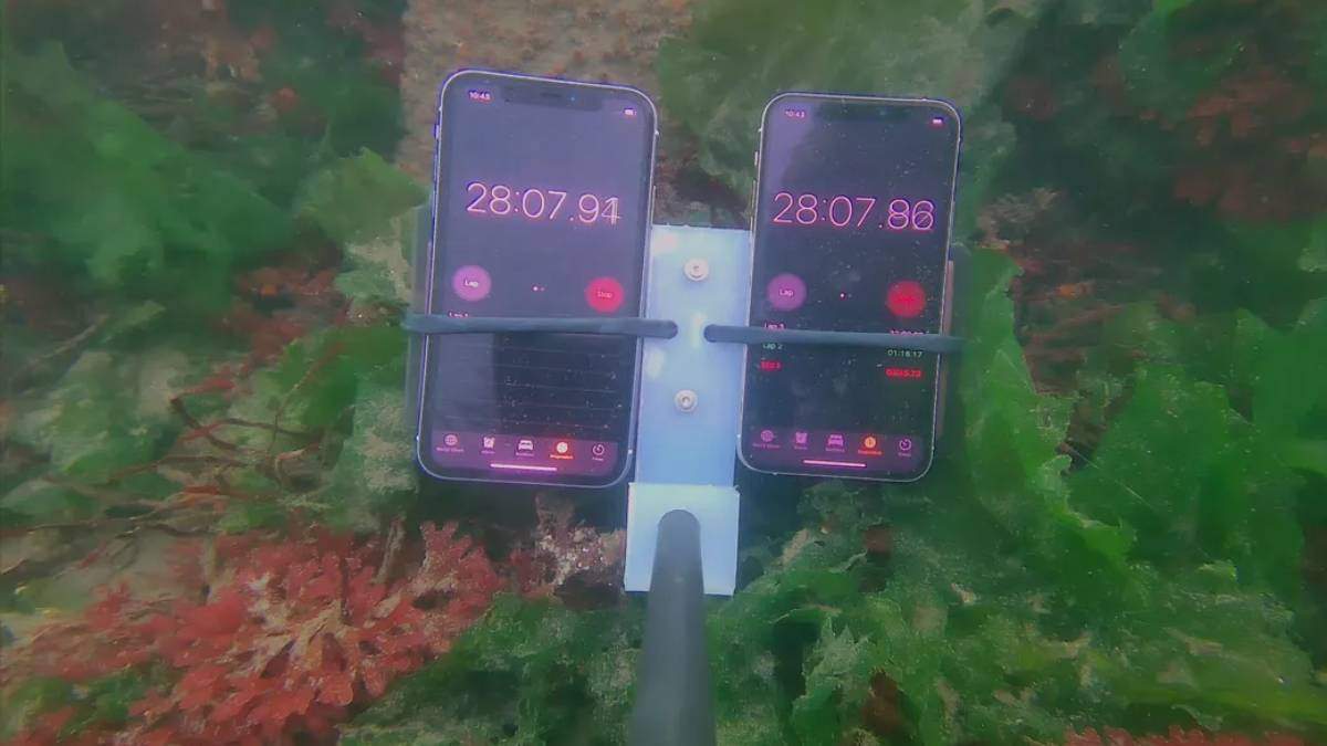iPhone 11 і 11 Pro занурили під воду на 8 місяців - аони продовжують працювати iPhone 11 і 11 Pro занурили під воду на 8 місяців - аони продовжують працювати